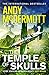 The Temple of Skulls (Nina Wilde & Eddie Chase, #16)