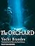 The Orchard by Yochi Brandes