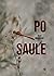Po saule