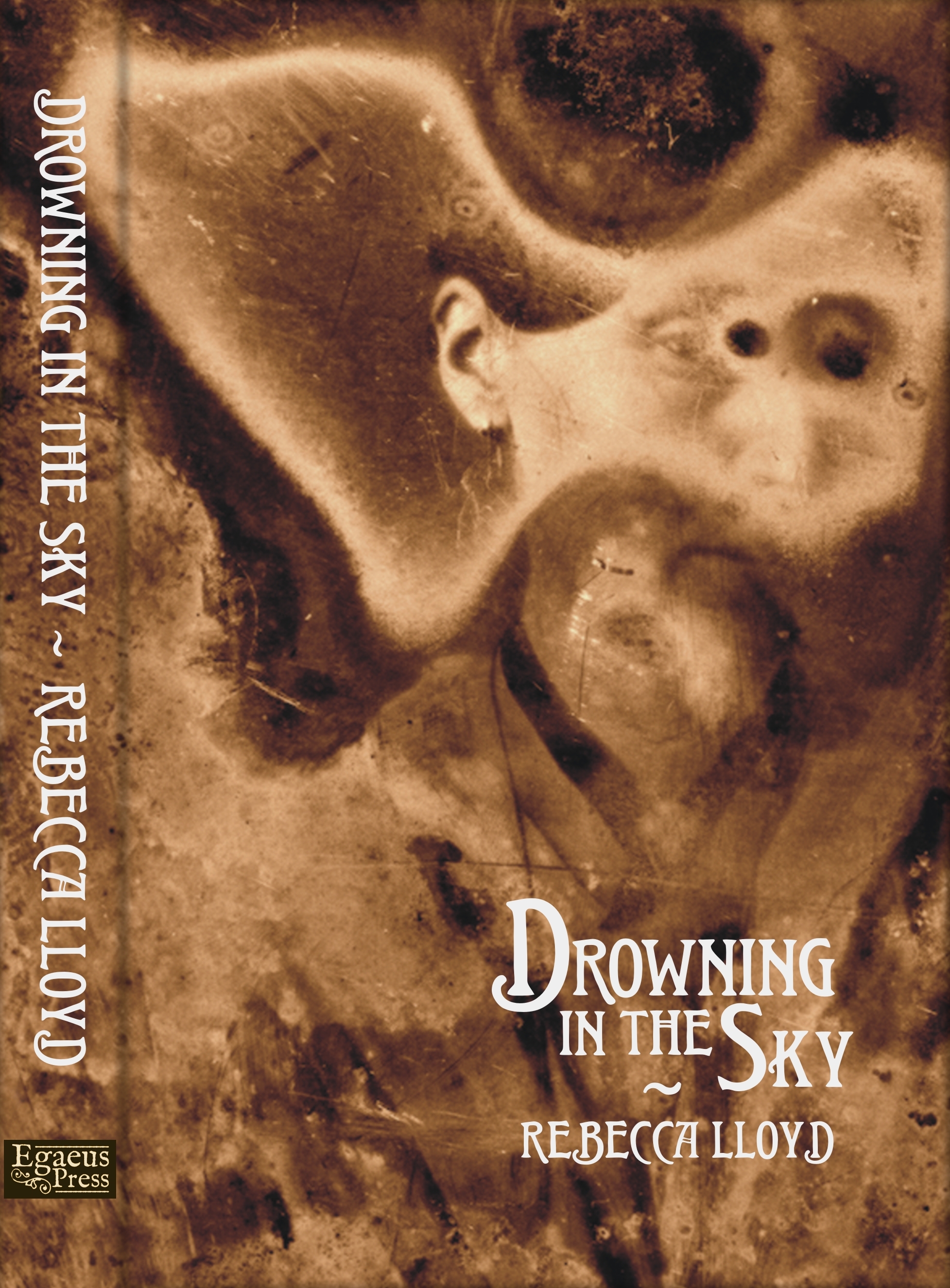 Drowning in the Sky (Hardcover)
