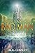 Angels and the Bad Man (The Technomancer #3)
