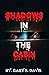 Shadows in the Cabin by Gary S. Davis
