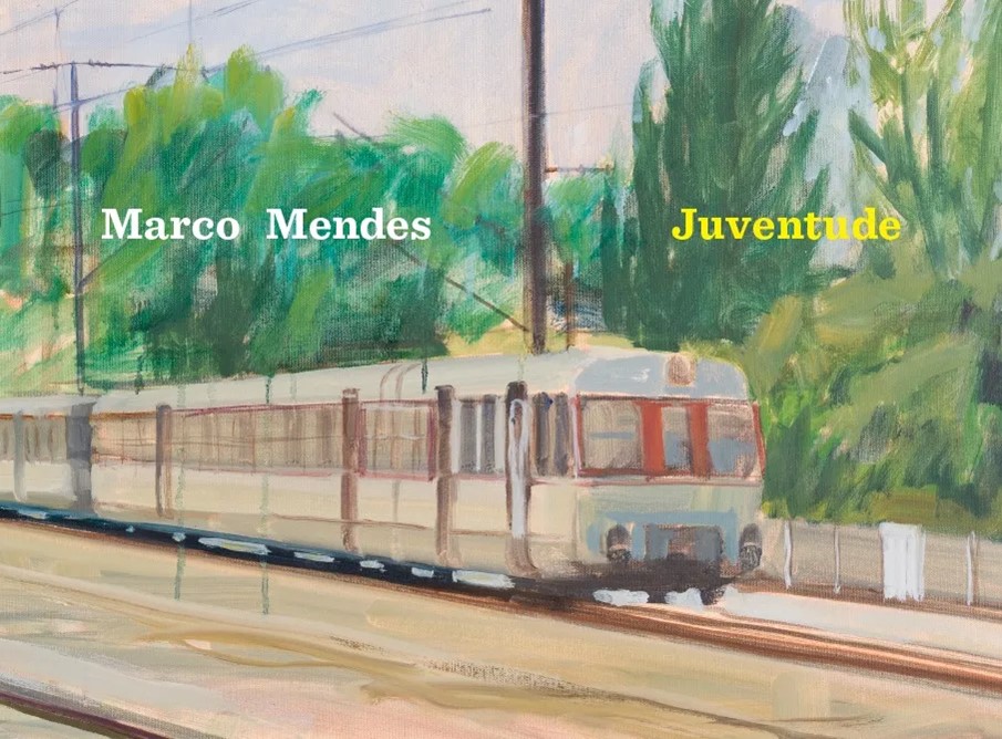 Juventude (Hardcover)