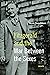 Fitzgerald and the War Between the Sexes: Essays