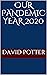 Our Pandemic Year 2020