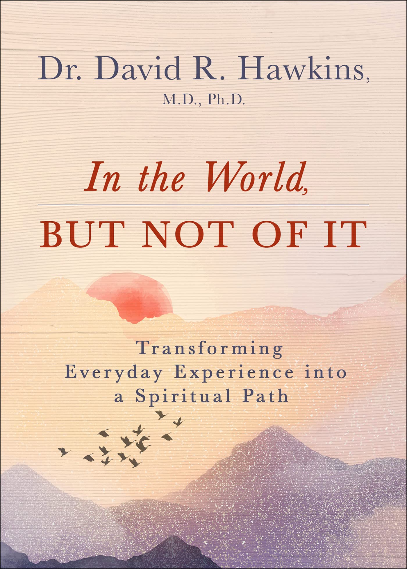 In the World, But Not of It: Transforming Everyday Experience into a Spiritual Path (Kindle Edition)