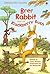 Brer Rabbit and the Blackberry Bush (Usborne First Reading Level 2)