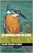 The Kingfisher Story Collection by Quan-Hoang Vuong The Kingfisher Story Collection by Quan-Hoang Vuong