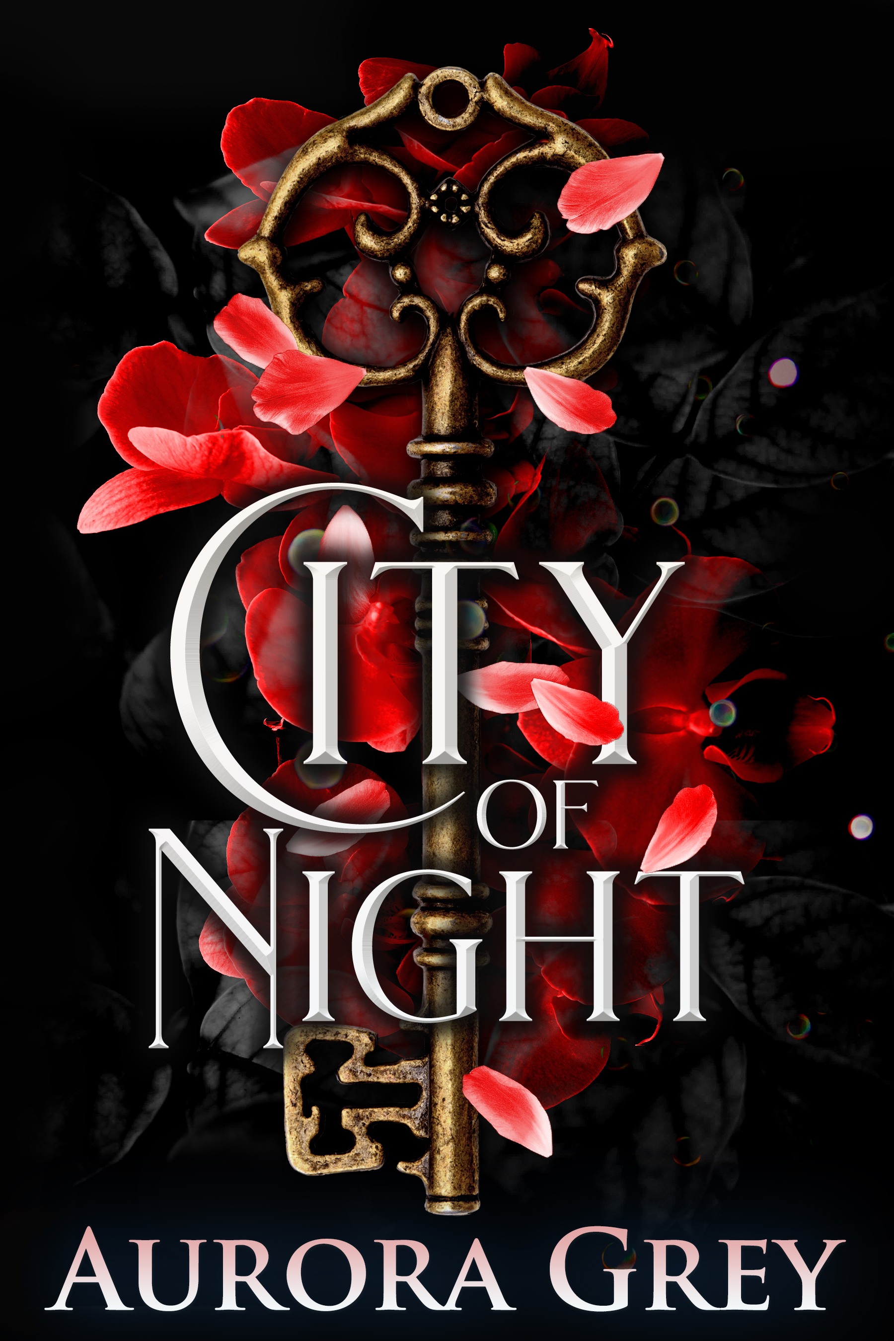 City of Night (City of Night, #1)
