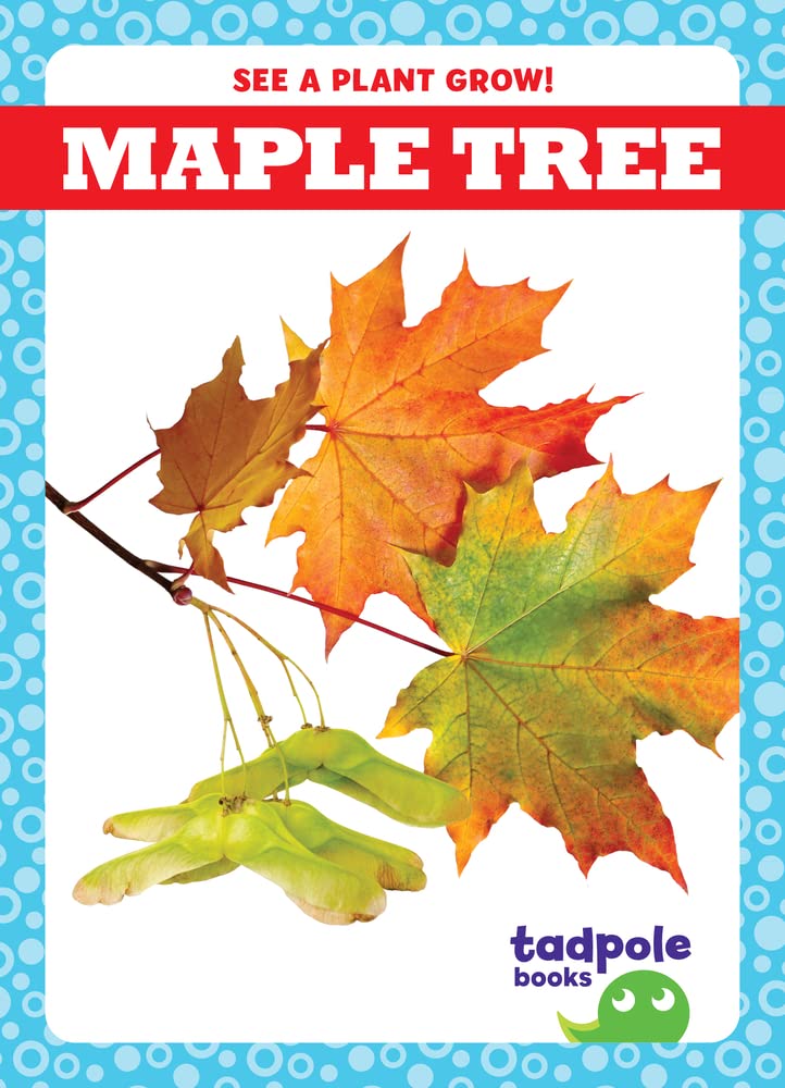 Maple Tree (Tadpole Books: See a Plant Grow!)