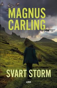 Svart storm (Svart kod, #2)