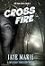Cross Fire (DI Snow #3)