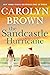 The Sandcastle Hurricane