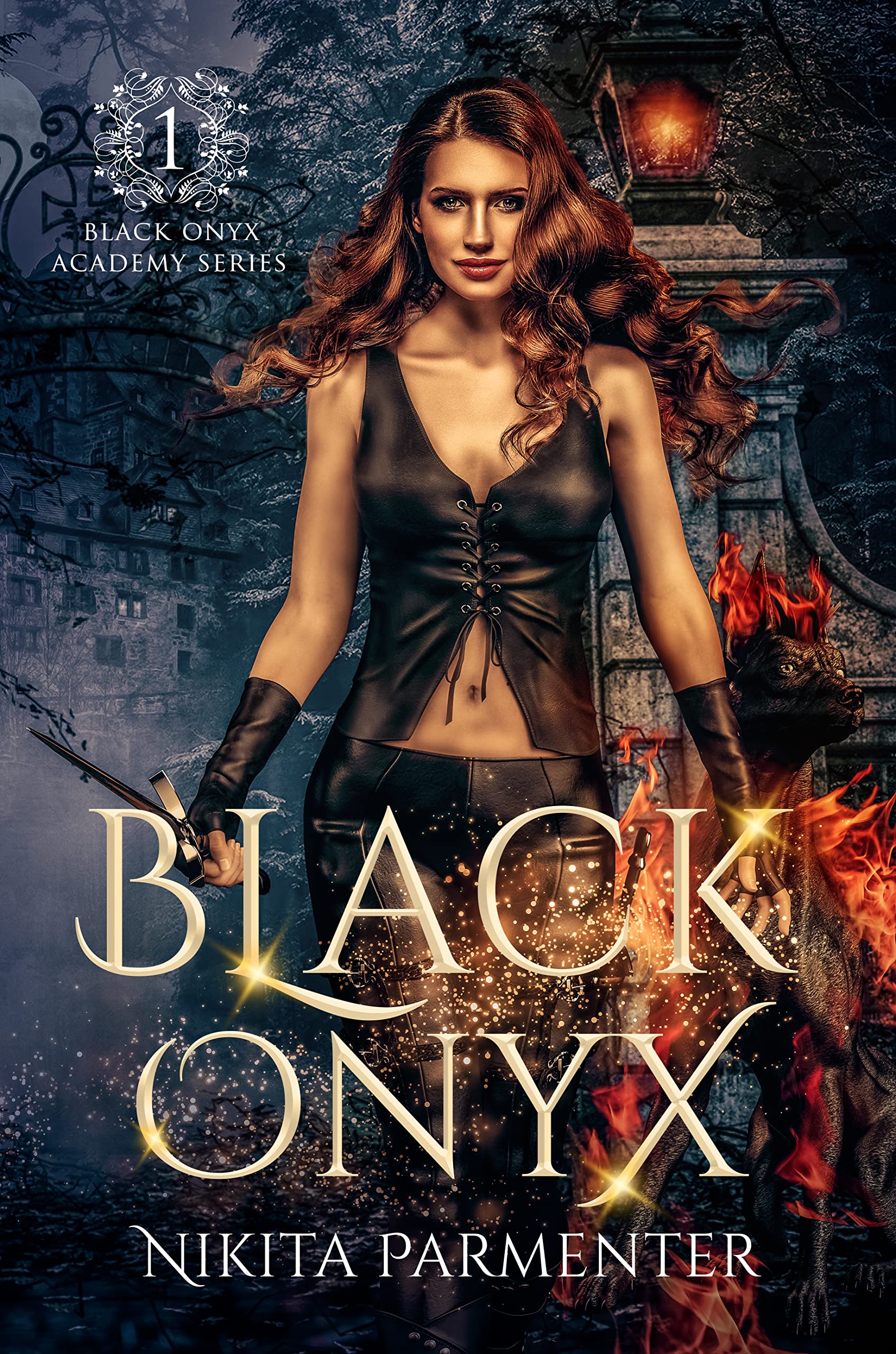 Black Onyx (Black Onyx Academy, #1)