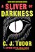 A Sliver of Darkness