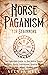 Norse Paganism for Beginners by Silvia Hill