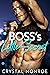 Boss's Little Secret (Bosse...