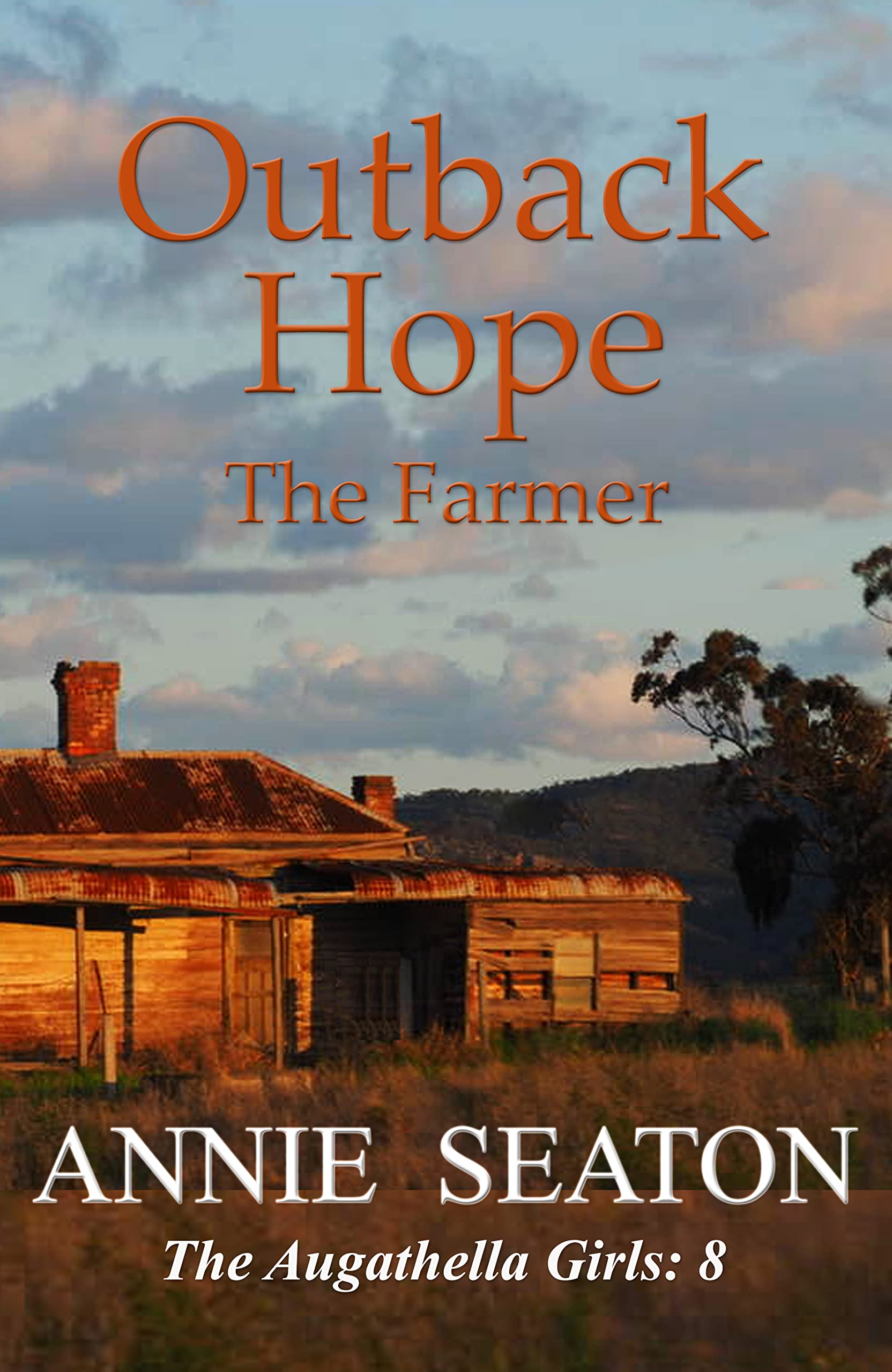 Outback Hope: The Farmer (The Augathella Girls #8)