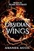 Obsidian Wings by Amanda Aggie