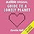 Guide to a Lonely Planet