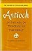 Antioch in the Age of Theod...