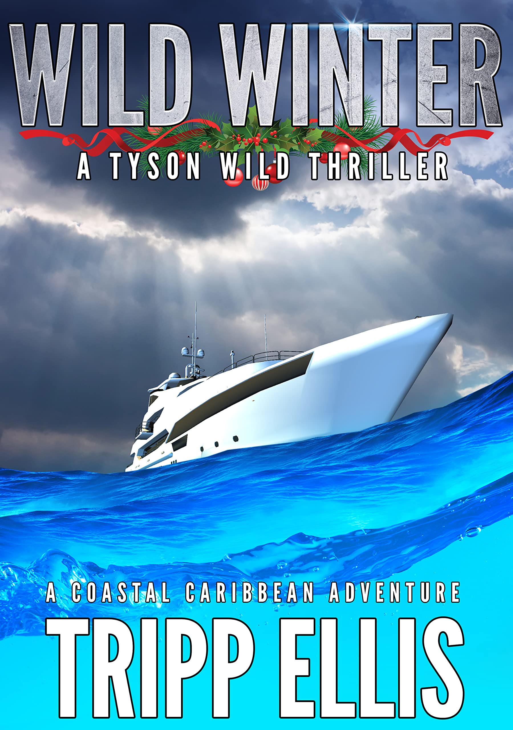 Wild Winter (Tyson Wild Thriller, #48)