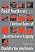 Bold Ventures: Thirteen Tales of Architectural Tragedy
