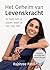 Het geheim van levenskracht by Rajshree Patel