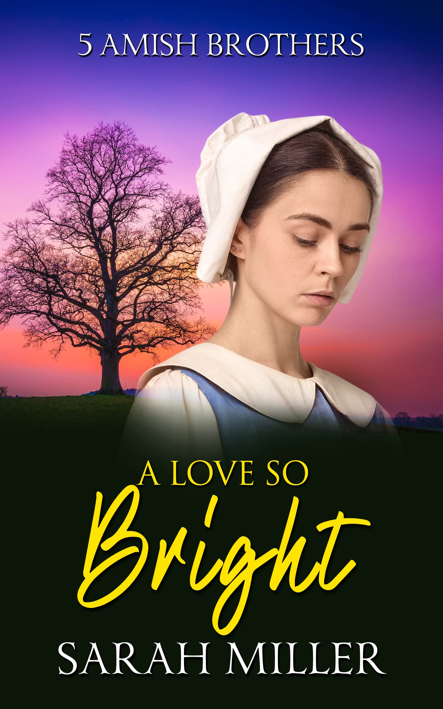 A Love so Bright (5 Amish Brothers #2)