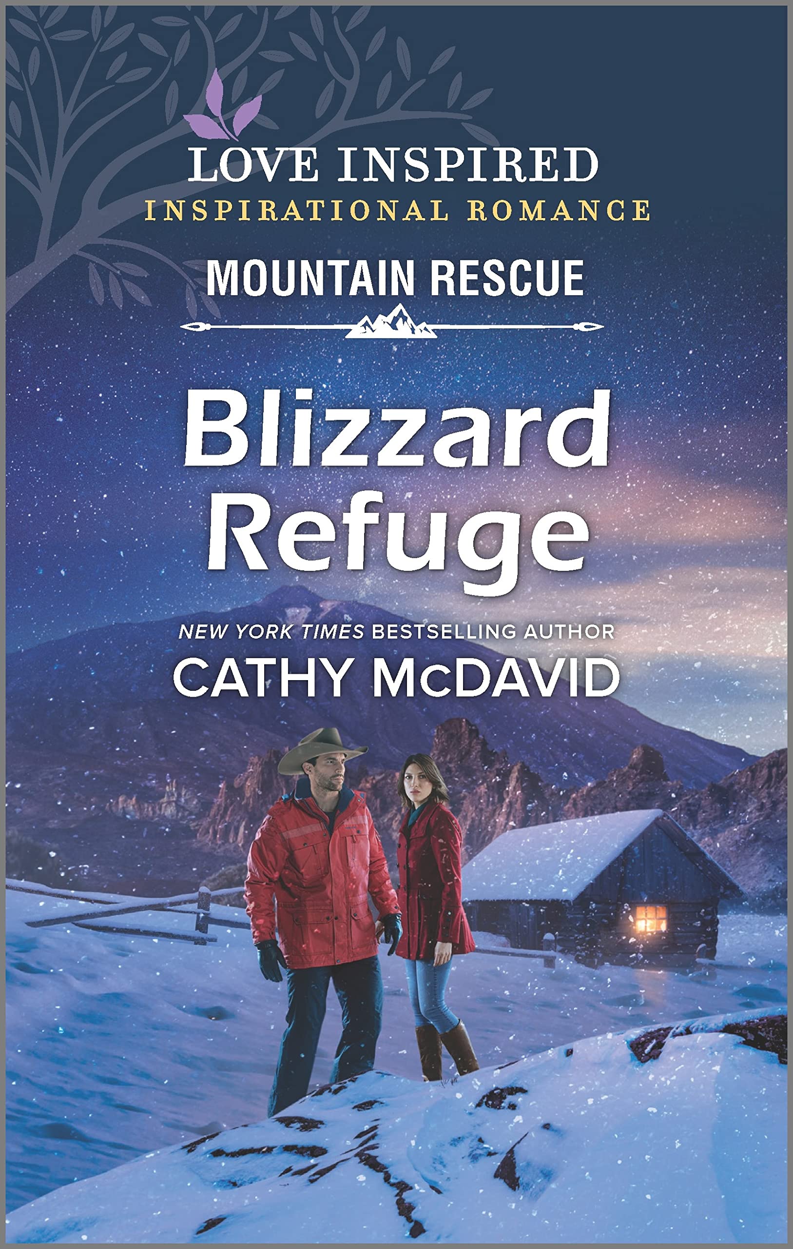 Blizzard Refuge (Mountain Rescue)