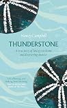 Thunderstone: A T...