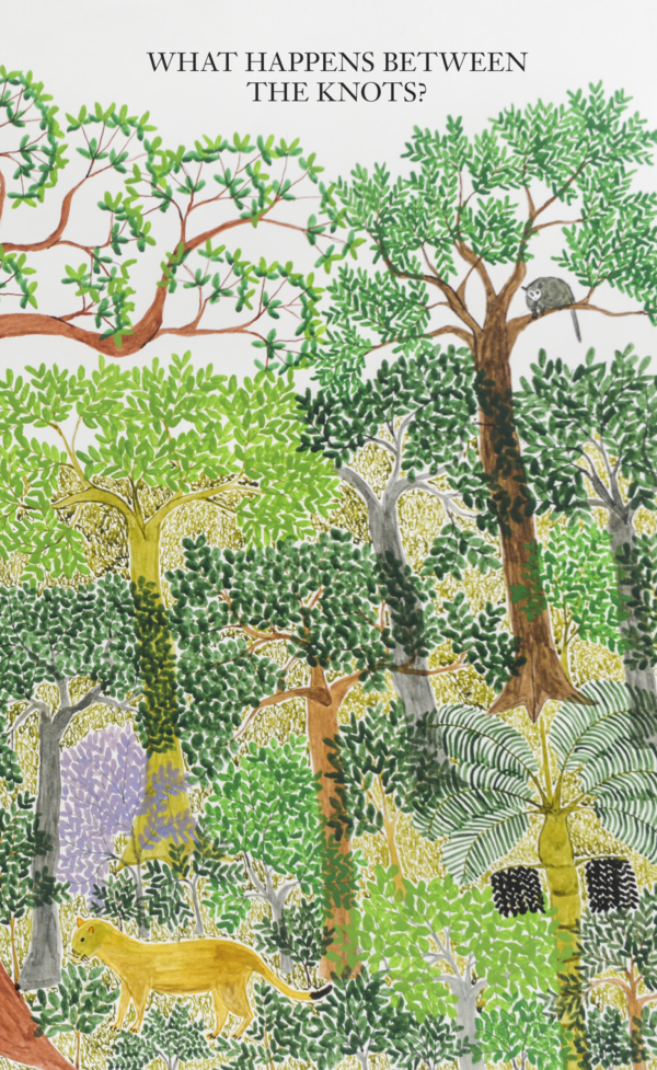 What Happens Between the Knots? (A Series of Open Questions #3)