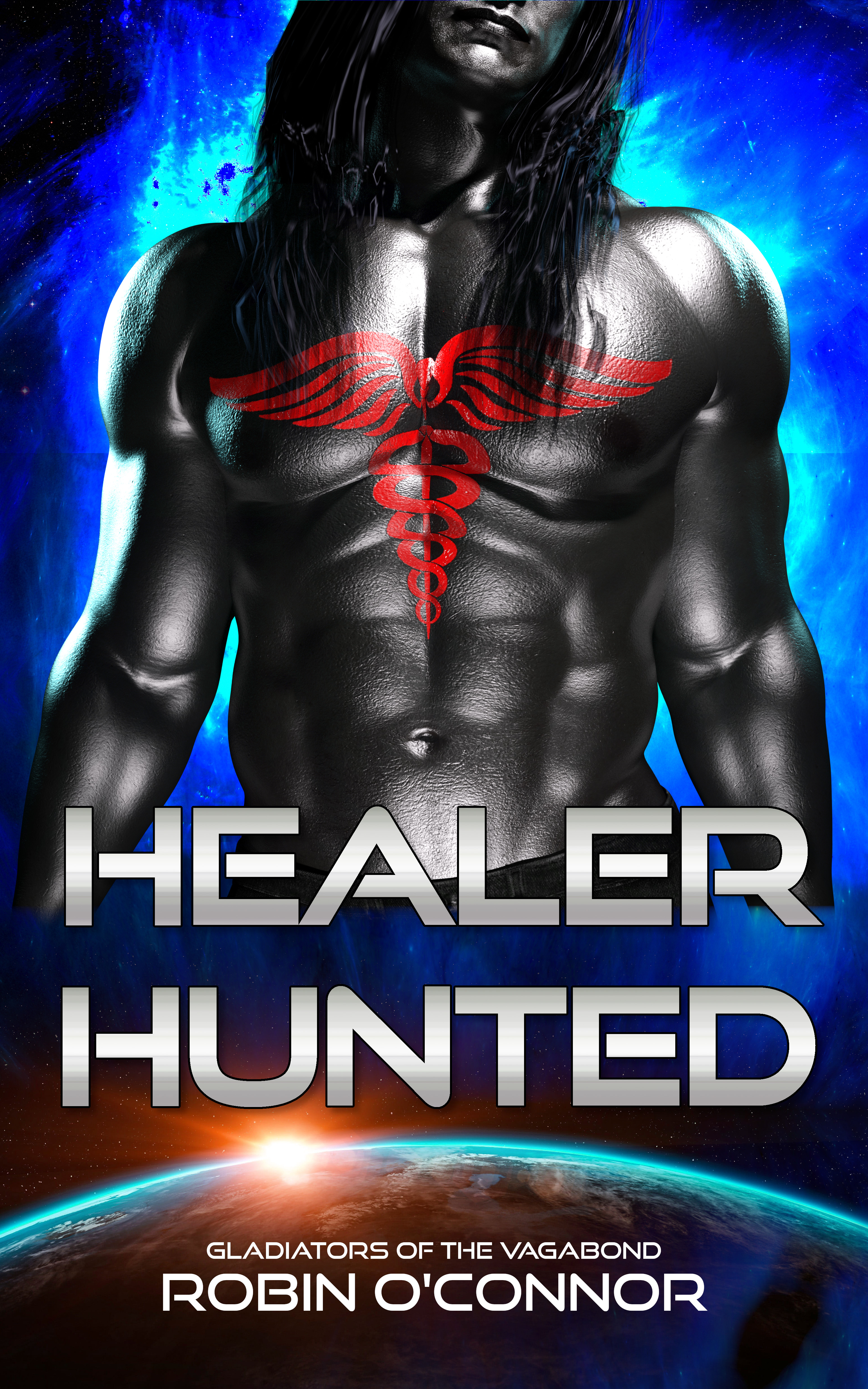 Cover of Healer Hunted