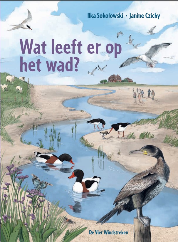 Wat leeft er op het wad?