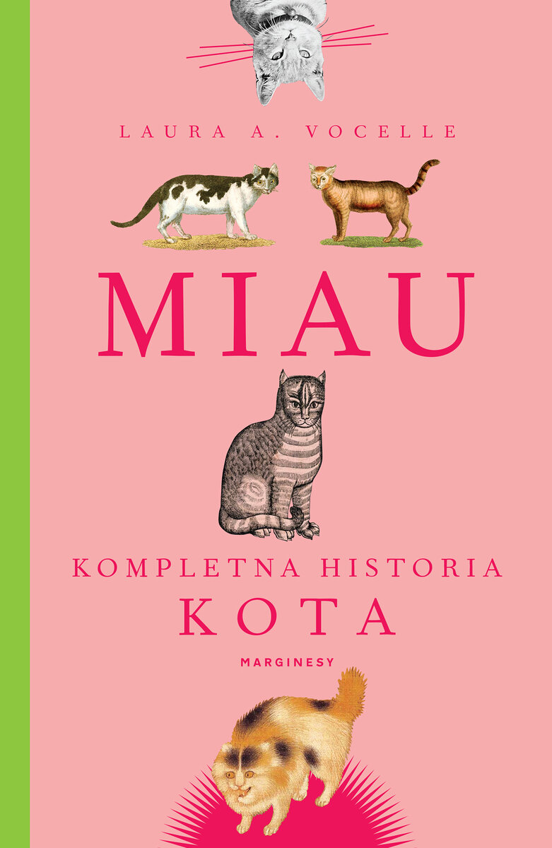 Miau. Kompletna historia kota (Paperback)