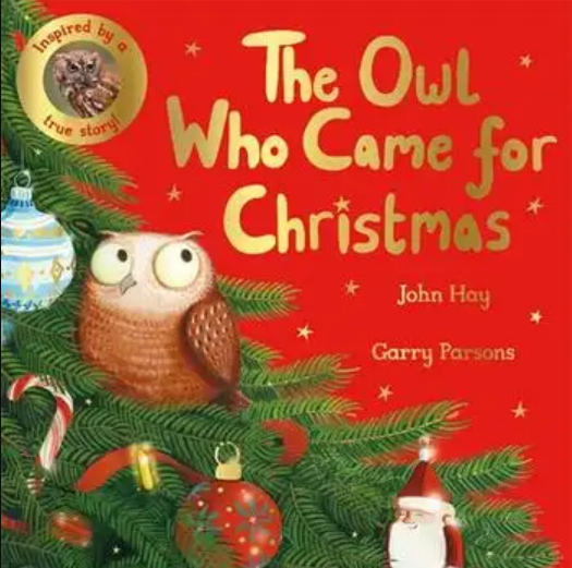 The Owl Who Came for Christmas (Paperback)