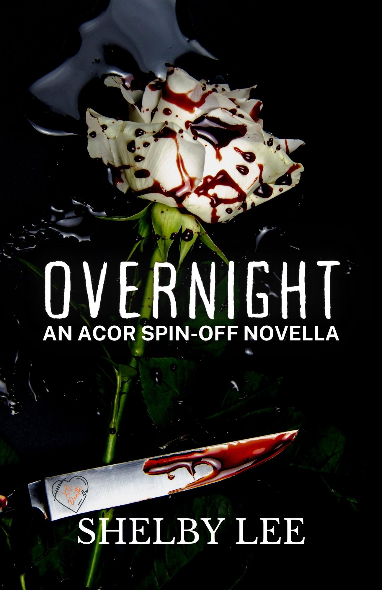 Overnight (Kindle Edition)