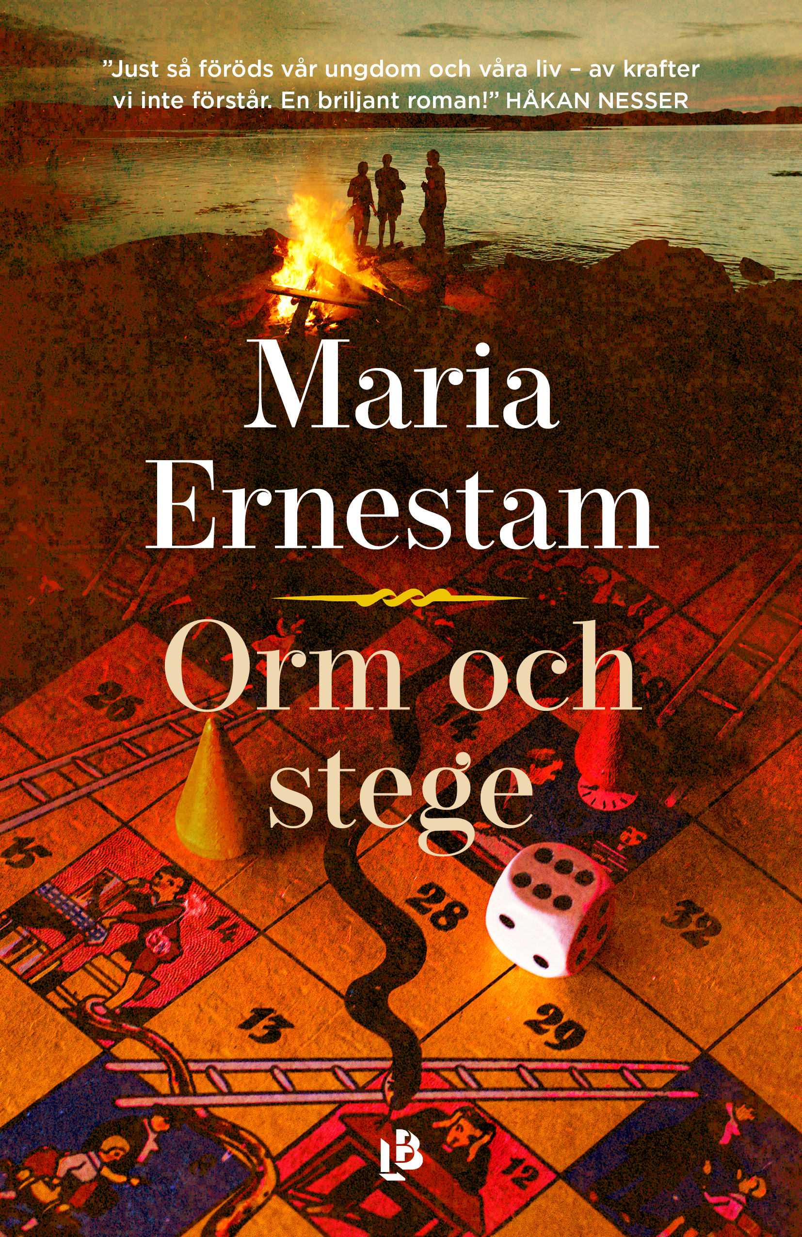 Orm och stege (Hardcover)