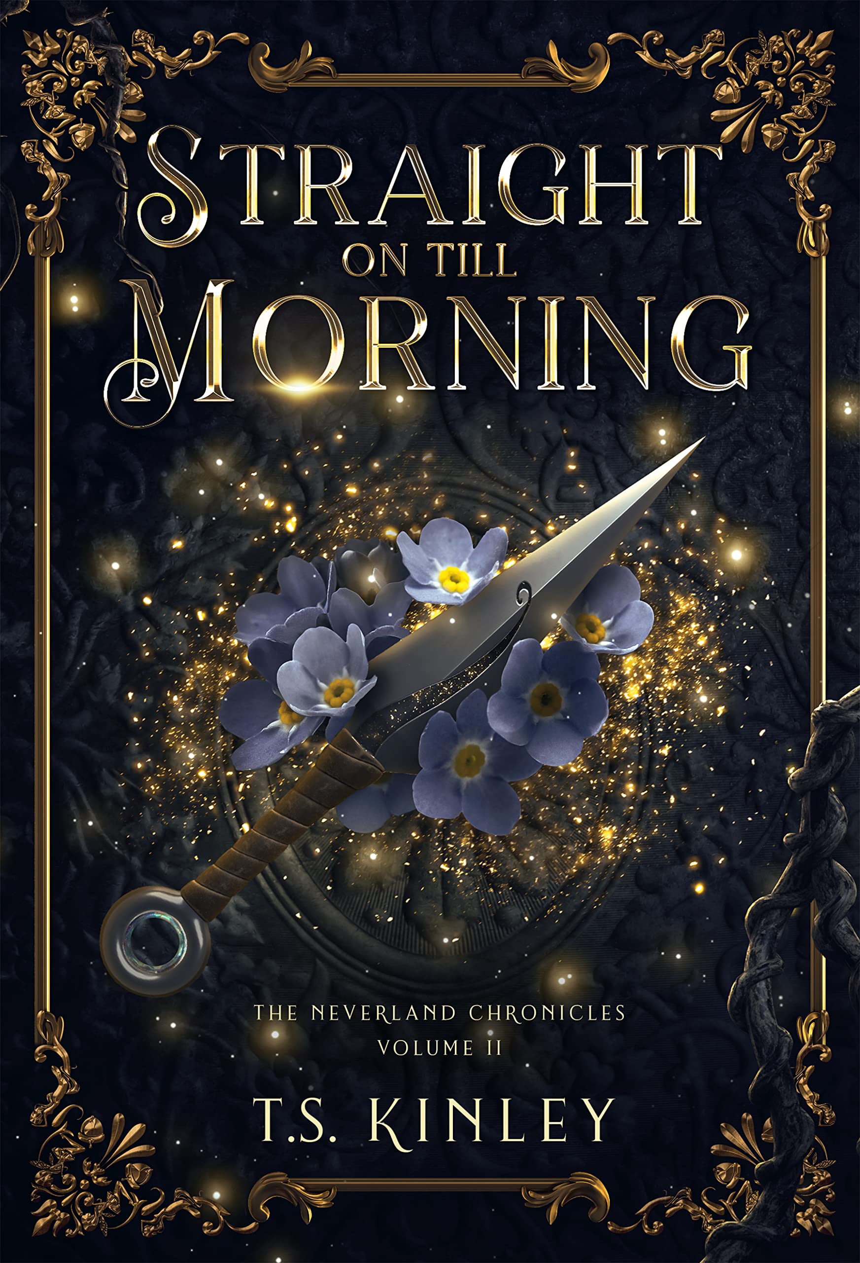 Straight on till Morning (The Neverland Chronicles #2)