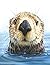 Sea Otter Journal: Lined No...