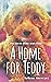 A Home for Teddy: The Get-I...