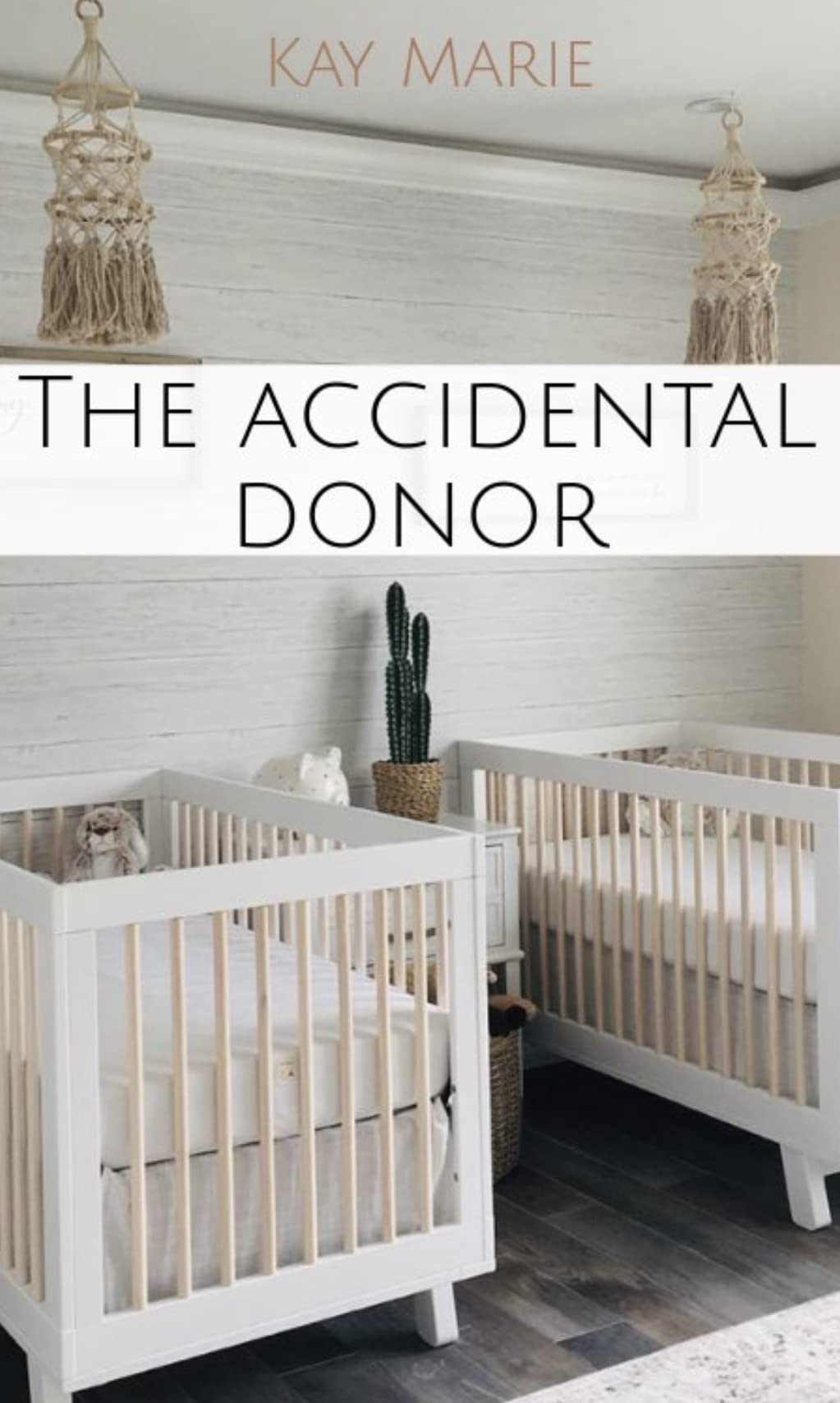 The Accidental Donor: M/M Mpreg (Kindle Edition)