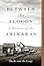 Between the Floods: A Histo...