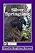 Silver Springtime (The Silver Spring University Series Book 1) (Volume 1)