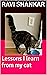 Lessons I learn from my cat...