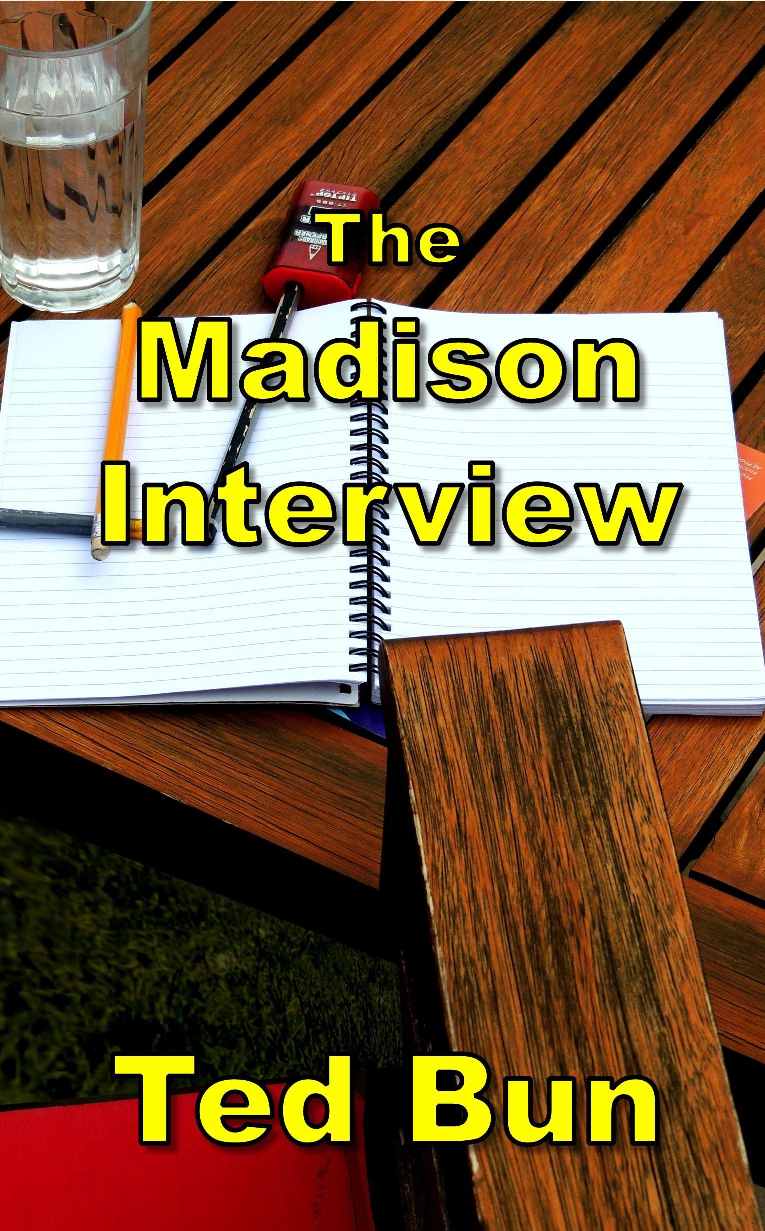 The Madison Interview (Kindle Edition)