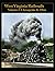 West Virginia Railroads Vol...