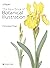 The Kew Book of Botanical Illustration by Christabel King