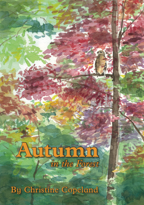 Autumn In The Forest