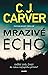 Mrazivé echo (Psycholog Harry Hope #1)